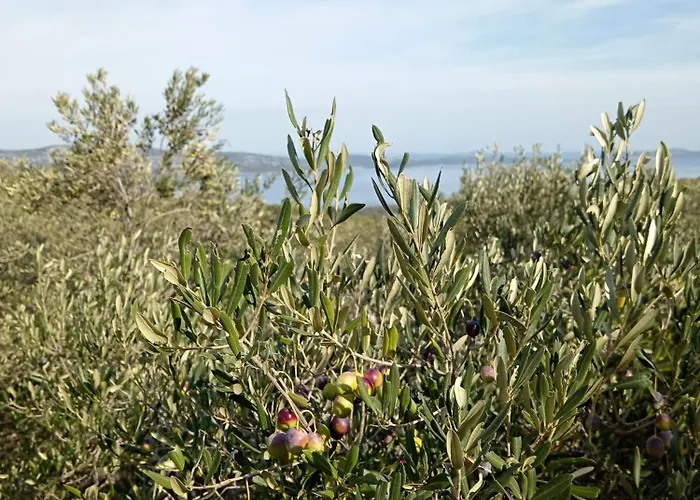 Bella Vista Апартаменты Мали Иж